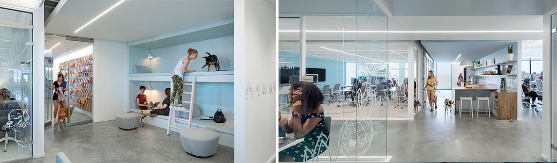 Stake(�й���)�ٷ���վ