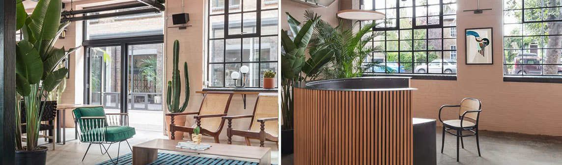 Stake(�й���)�ٷ���վ