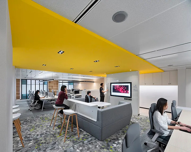 �칫��װ��