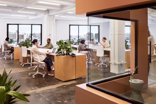 Stake(ÖйúÇø)¹Ù·½ÍøÕ¾