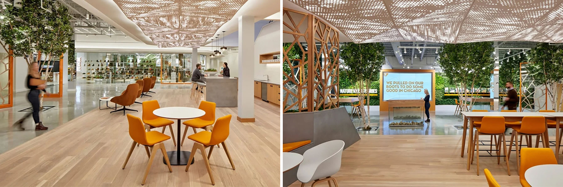 �칫����װ�����